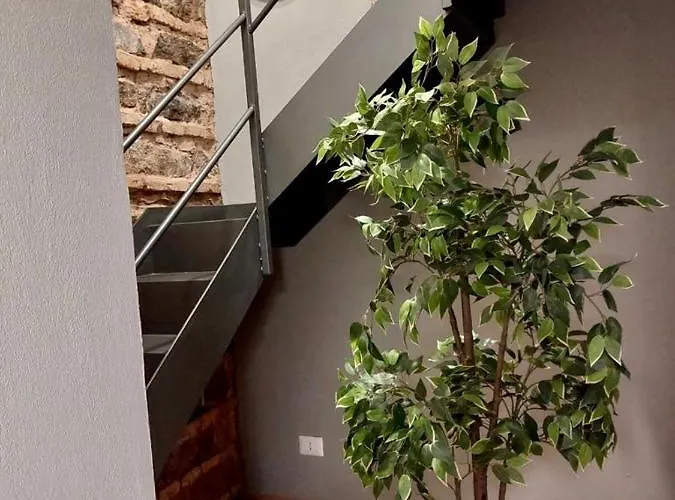 דירה La Renaissance קטאניה